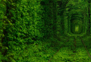 Tunnel-of-Love-in-Ukraine-2