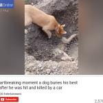 Ey